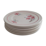 8 Plates in faience, white background with hand-painted pink flowers