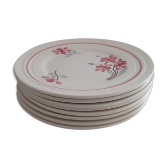8 Plates in faience, white background with hand-painted pink flowers