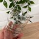 Set of 6 engraved glass wine glasses