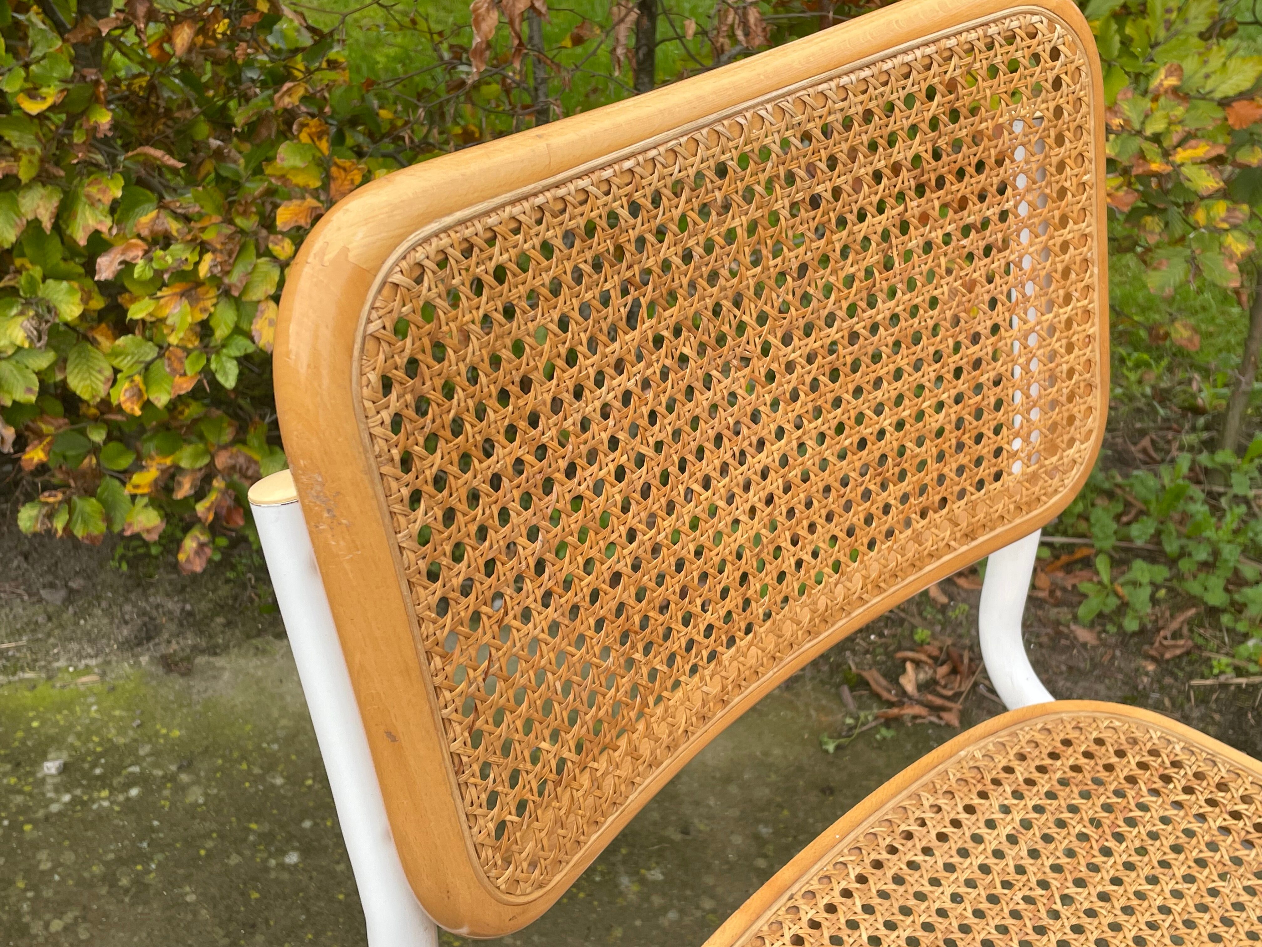 Cesca chair b32 model in white and wood by Marcel Breuer