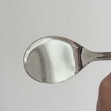 6 spoons Guy Degrenne