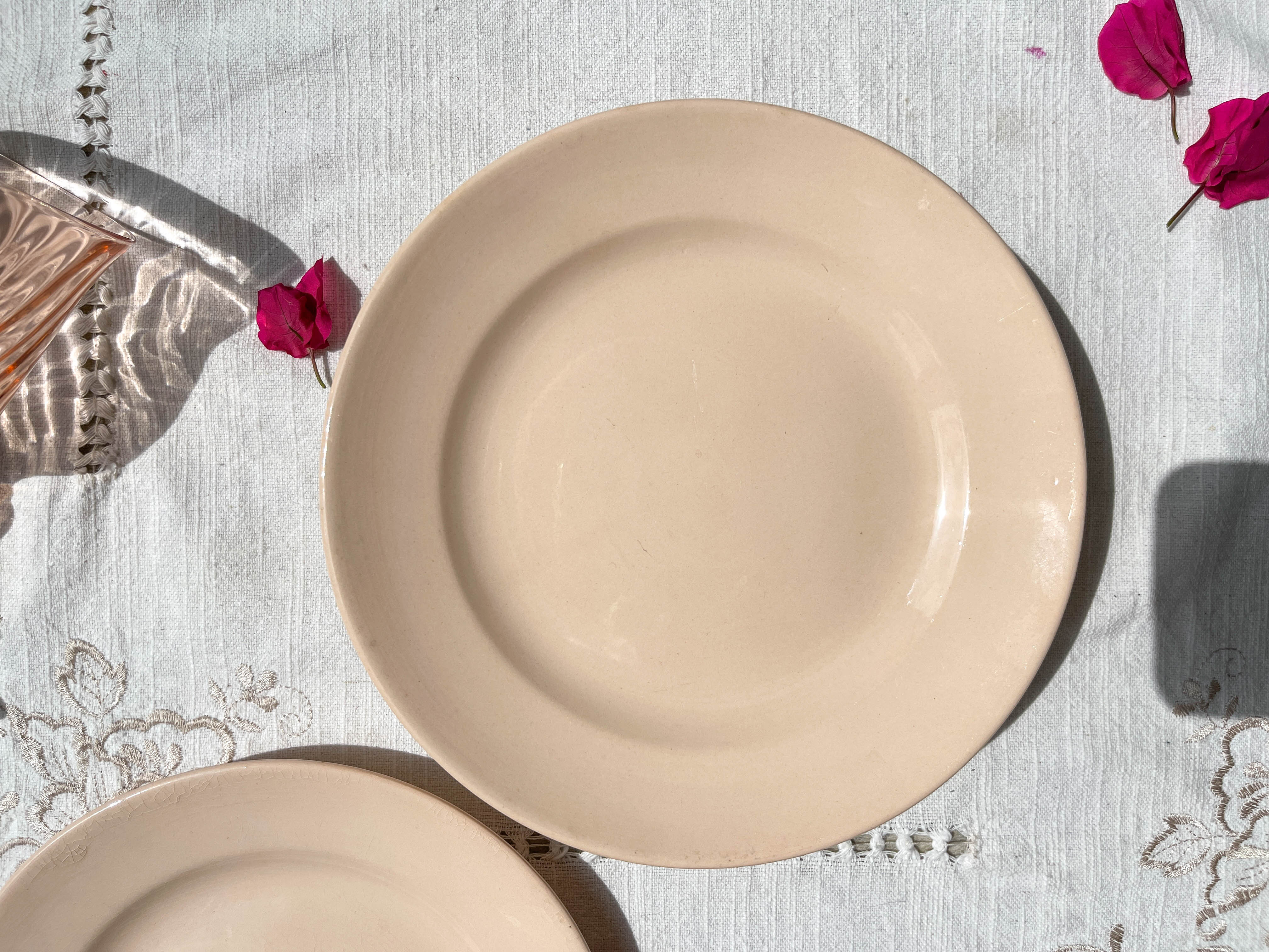 7 Small dessert plates Rose Digoin Sarreguemines