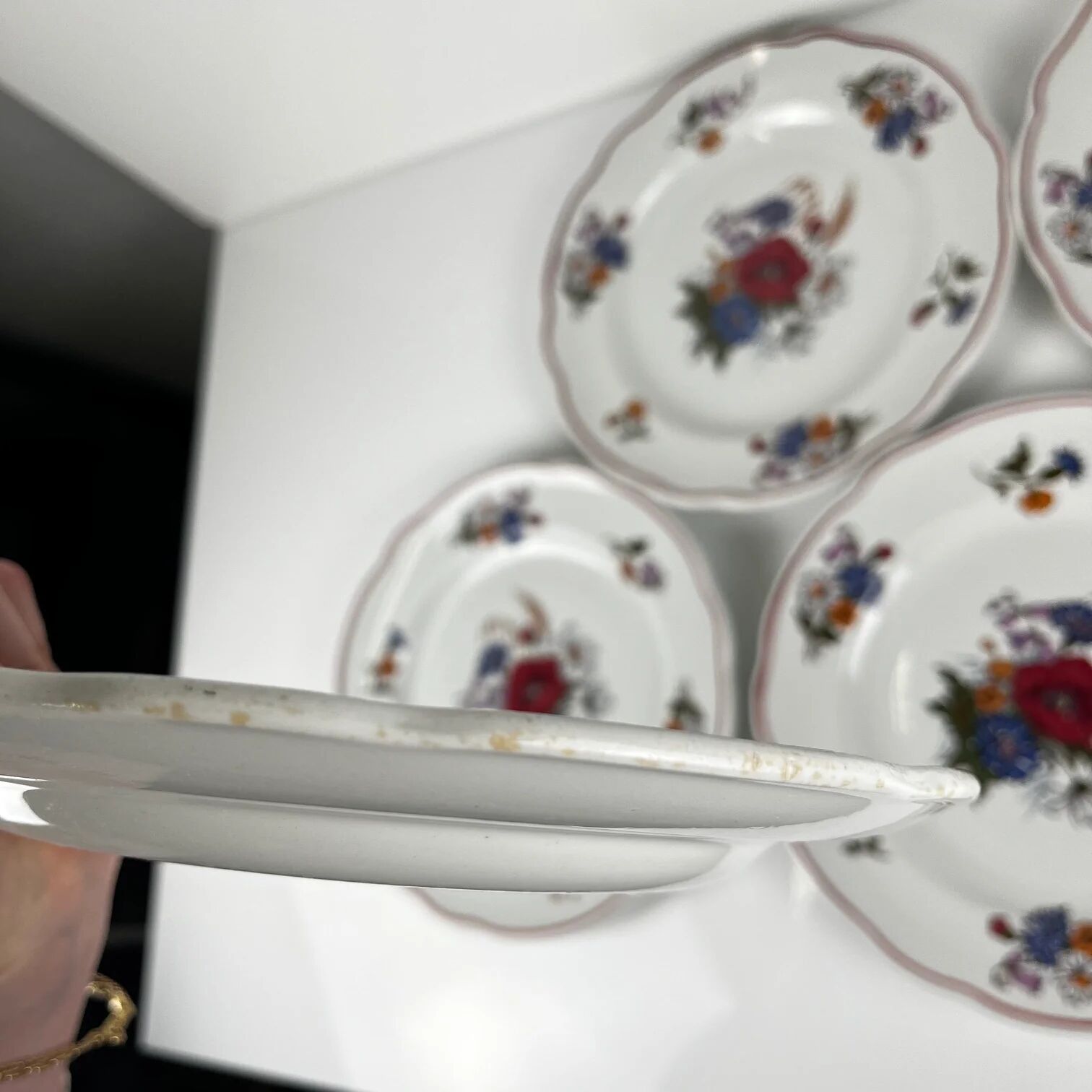 Set of 6 flat plates "Agreste", Sarreguemines, late 20th century, Pyroblan