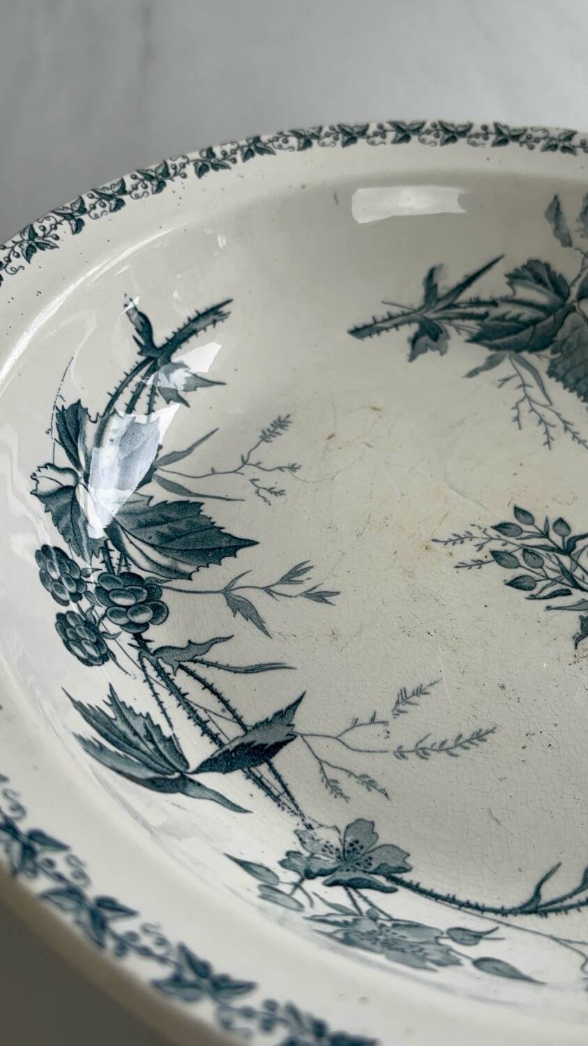 Old Badonviller ironstone salad bowl - Mûre model, early 20th century