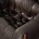 MP-81 2-seater Sofa by Percival Lafer for Lafer MP