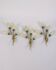 Set of 3 Vintage 1950s Wall Sconces in Floral Style, Italian Design