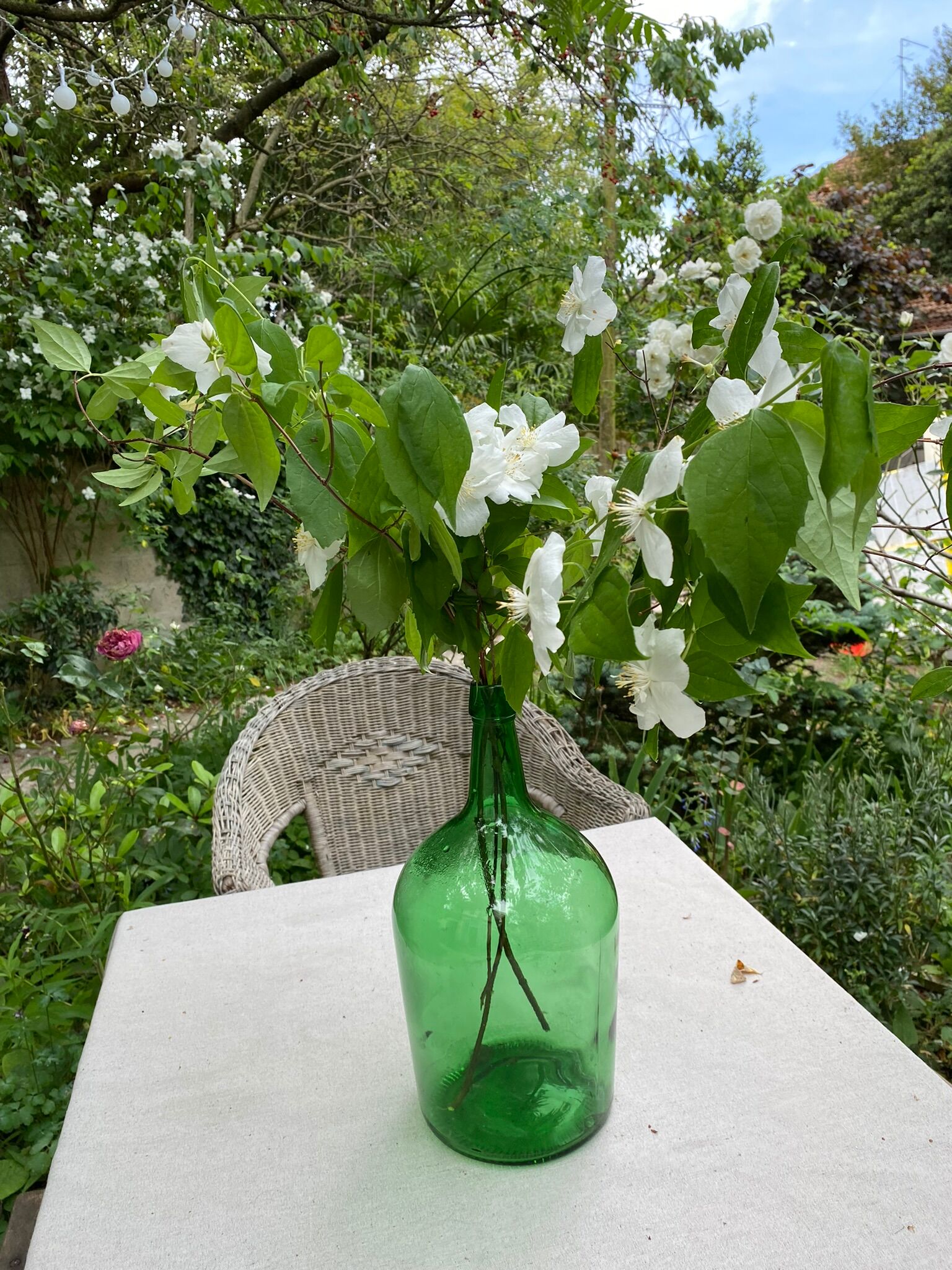 Demijohn vintage green bottle 5L