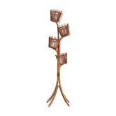 Door plant rattan vintage 1960