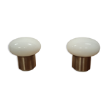 2 lampes design année 70 ecolight