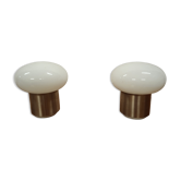 2 lamps design year 70 ecolight