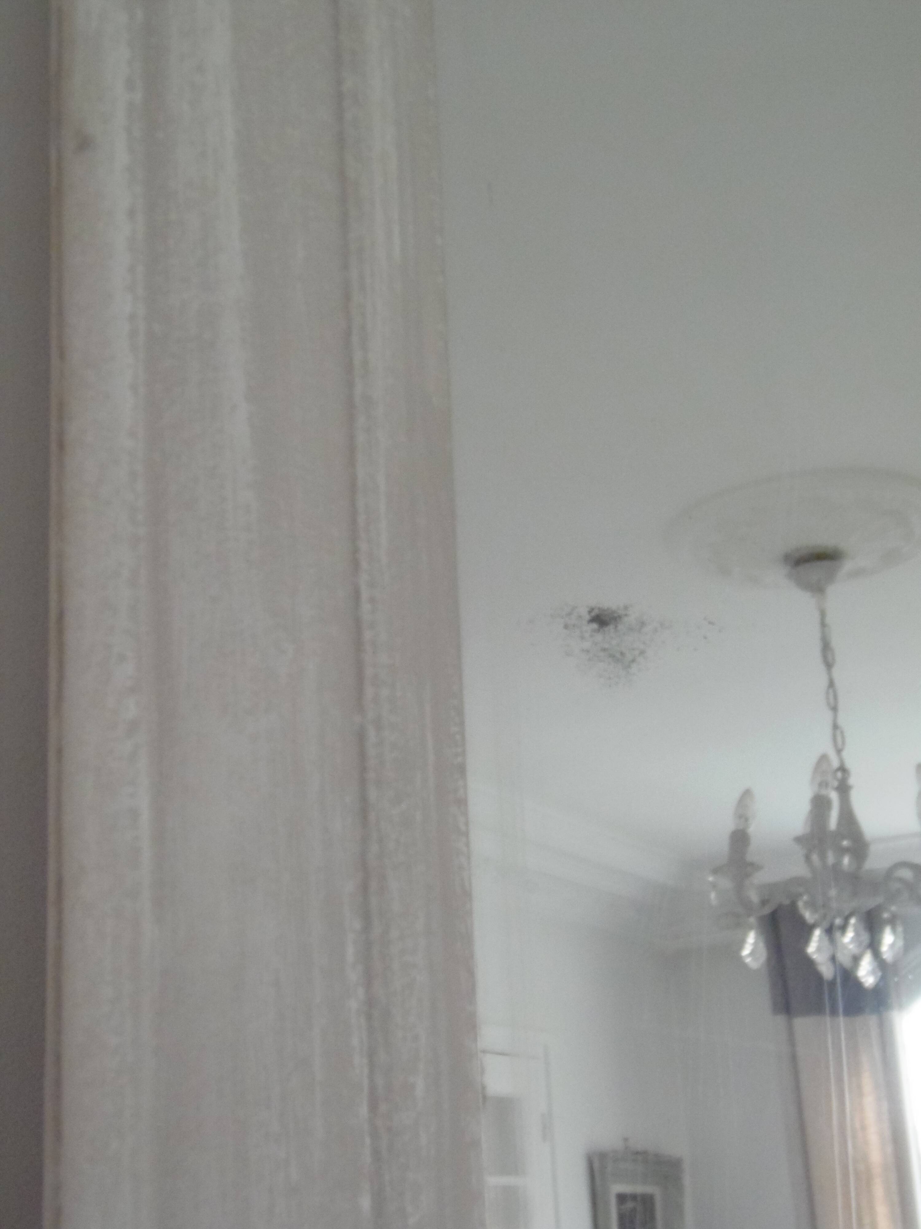 Antique trumeau mirror with pearl grey and powdered white patina