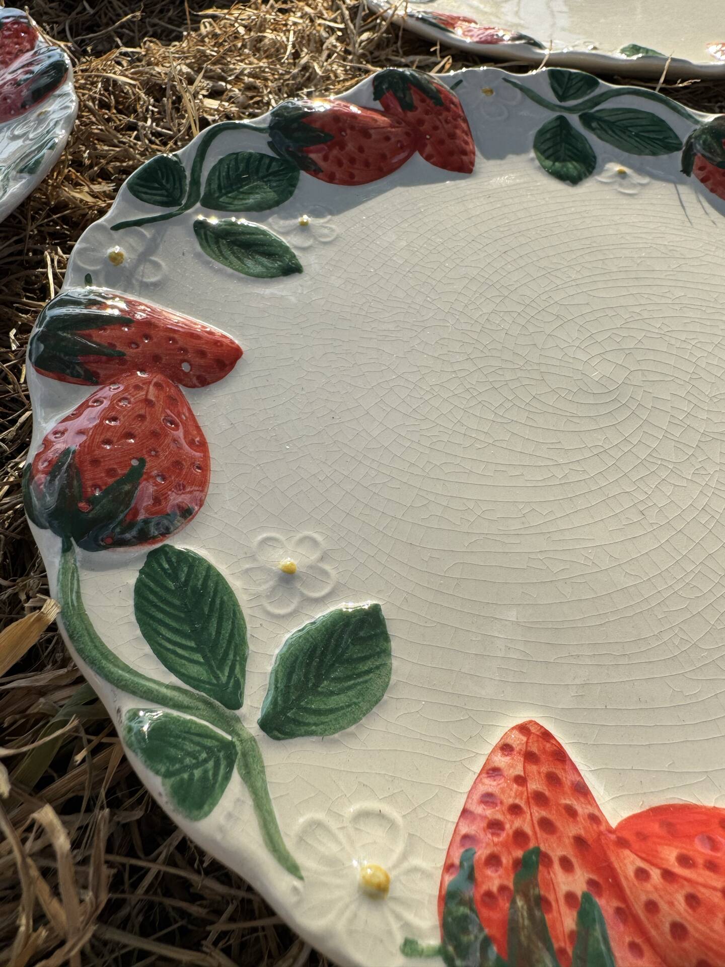 Longchamp antique strawberry barbotine plates