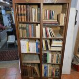 Antique double curtain oak cabinet