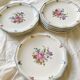 Flat plates limoges porcelain