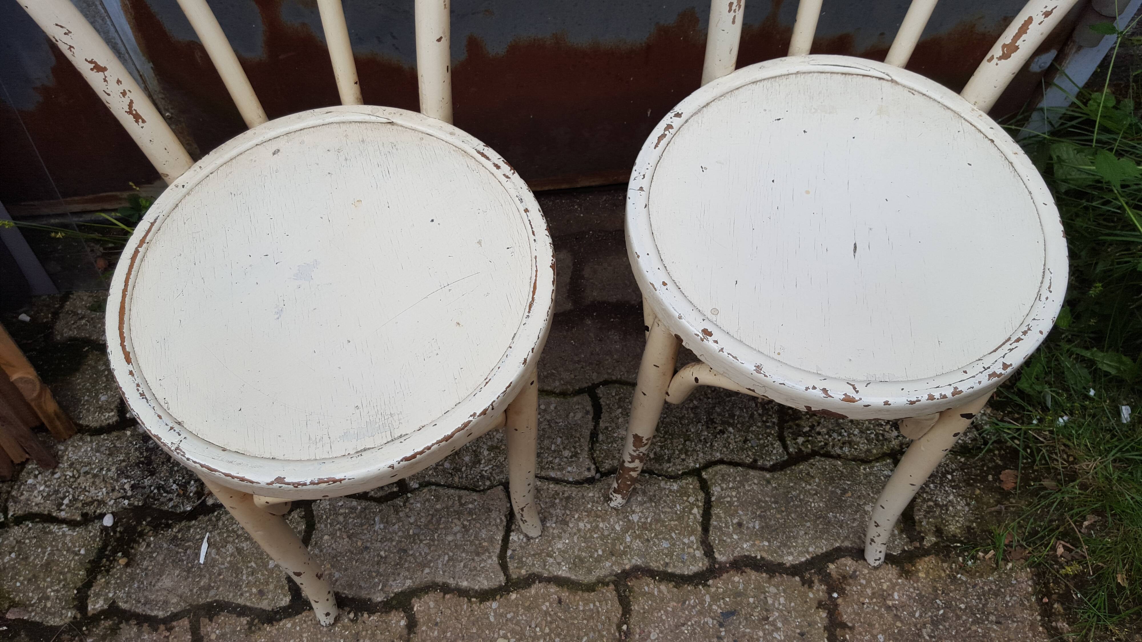 Pair of Baumann chairs made of curved wood