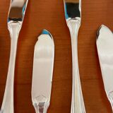 Christofle boréal fish service 26 pieces