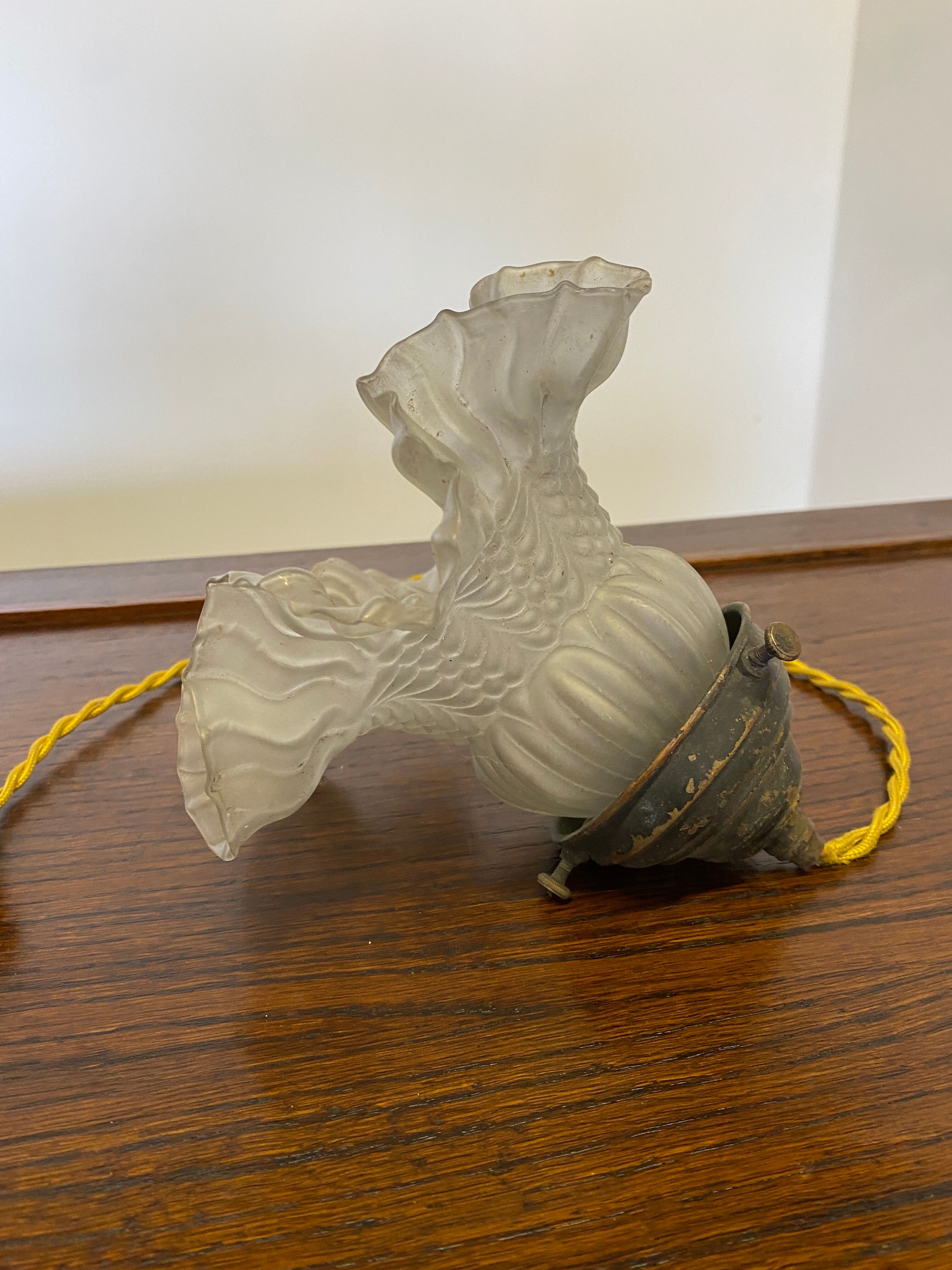 Flower suspension 1900