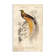 Antique engraving 1849 - Bird of Paradise by E.Travies