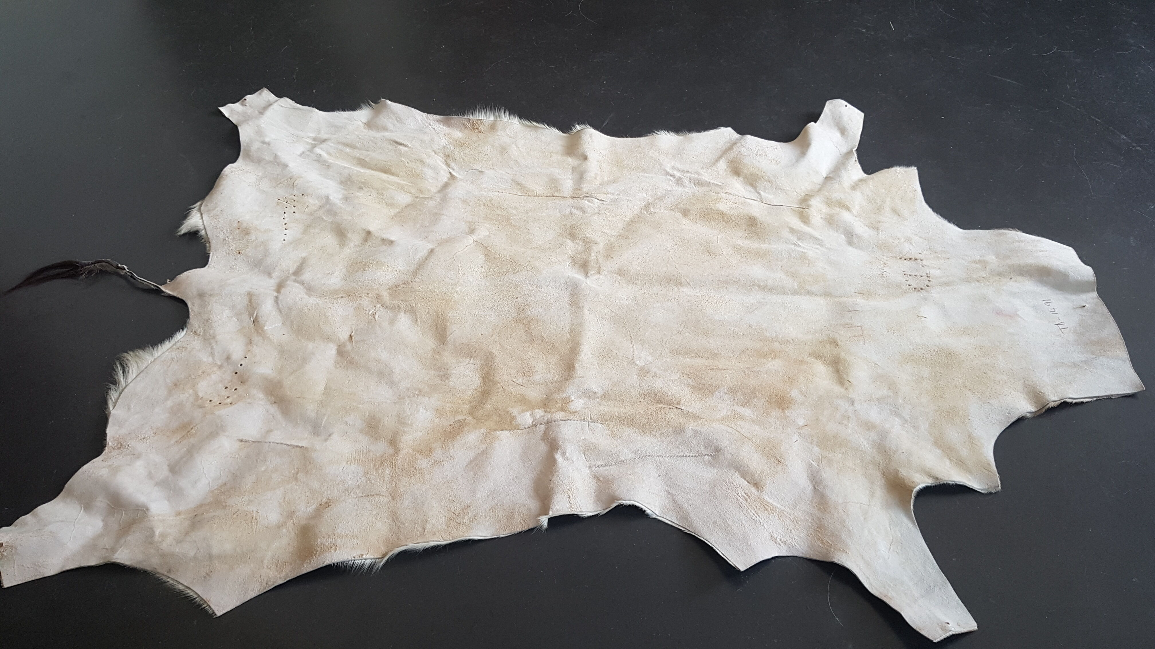 Natural goat skin 117x83cm