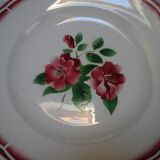 Plat Eden Digoin