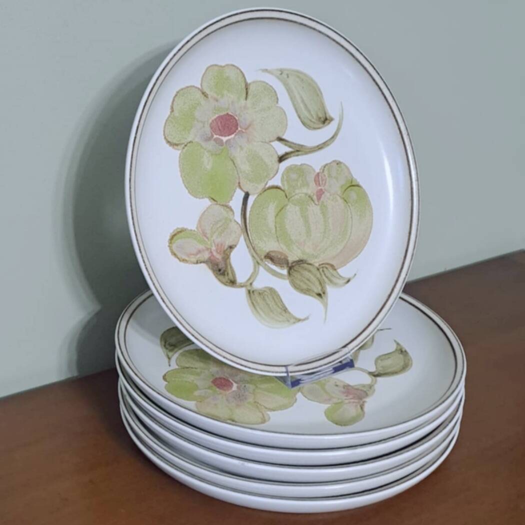 6 stoneware dinner plates