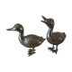 Brass ducks
