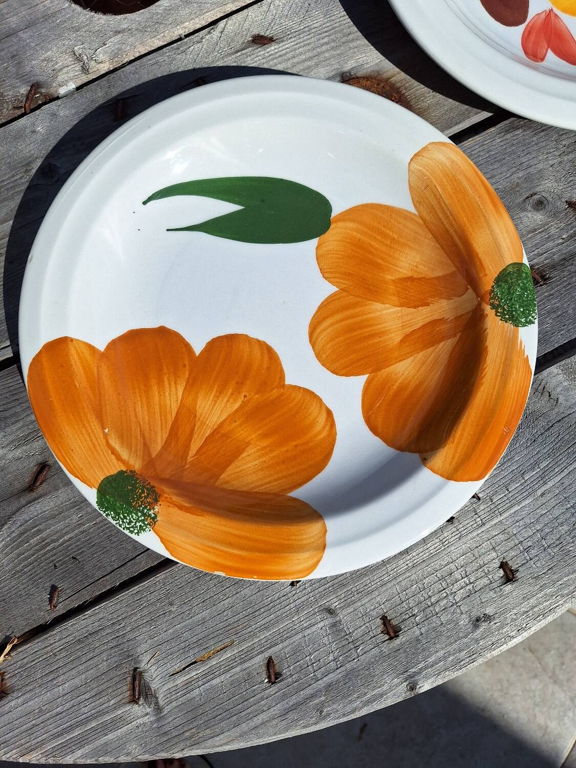 Ceramica plates 1970