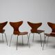 Set of four “Lily” chairs by Arne Jacobsen for Fritz Hansen, teak, Denmark, 1971