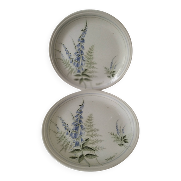 Vintage Coloroll England Plate Set with Foxglove Decor