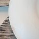 Seven flat plates from Salins, Bazas model