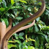 Baumann wooden parrot coat rack