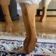 Mouton footrest hanns