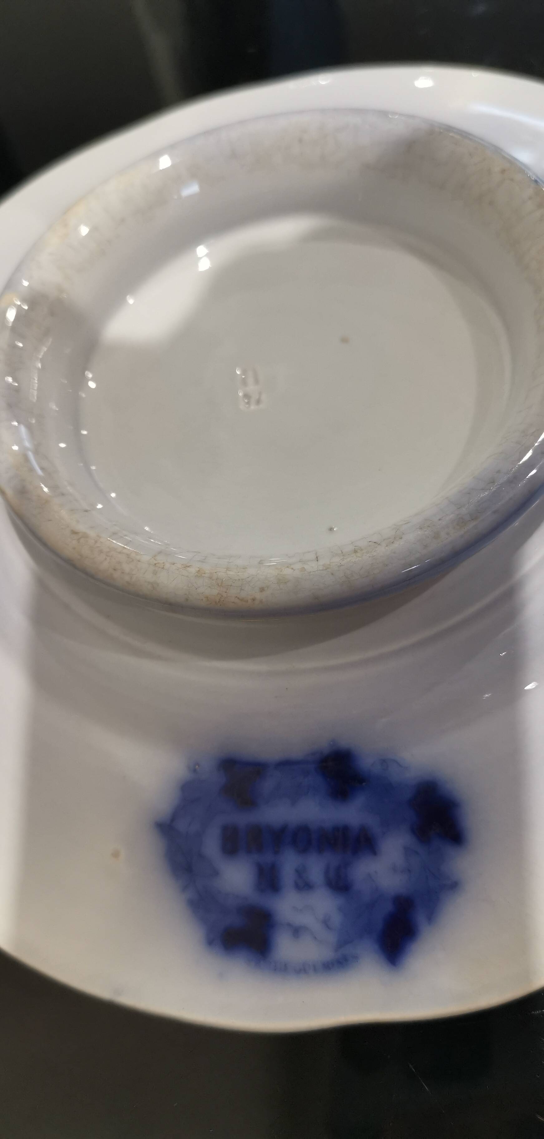 Old mounted plate, Bryonia Sarreguemines Terre de fer compotier