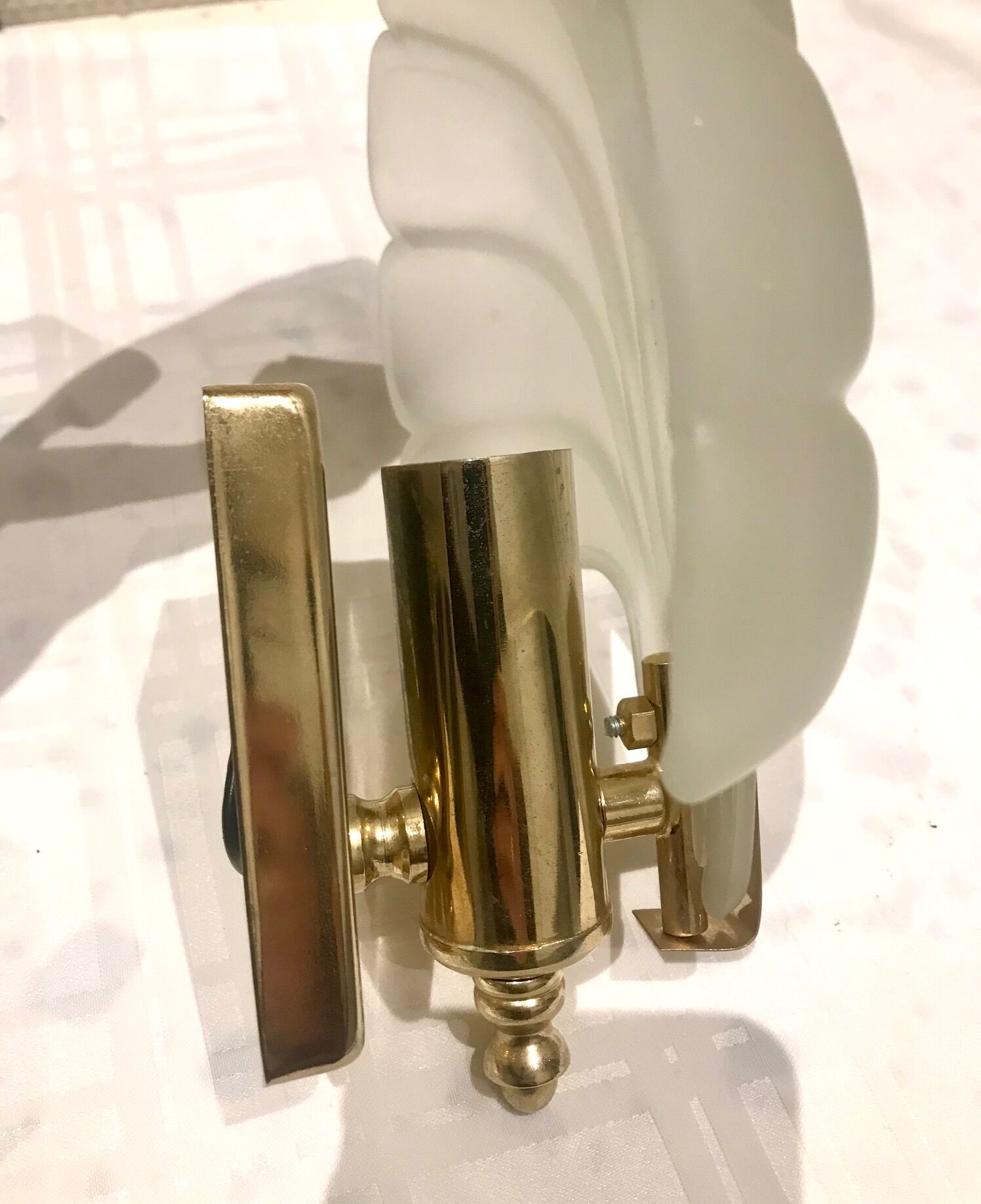 Pair of shell sconces