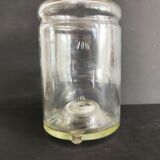 Flies and wasps gap early 20th