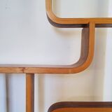 Vintage Czech screen by Ludvik Volak, 1960 for Drevopodnik Holesov