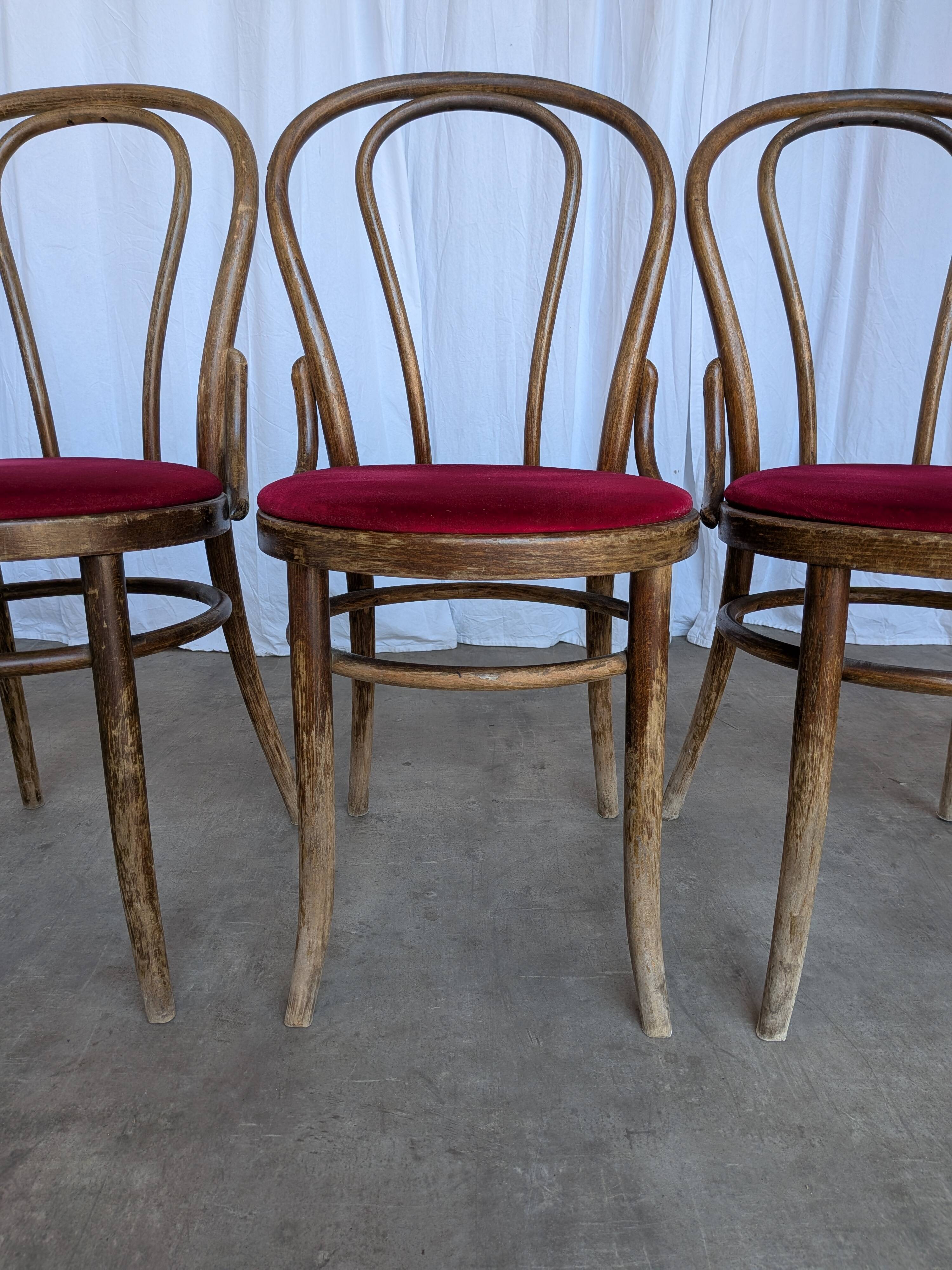 Set of 6 Vintage Bentwood Dining Chairs Set: 1970s , Red Uphols