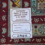 Kolyai Persian Rug - Handmade