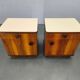 Pair of Mid-Century Walnut Nightstands with Glass Tops, 1950s