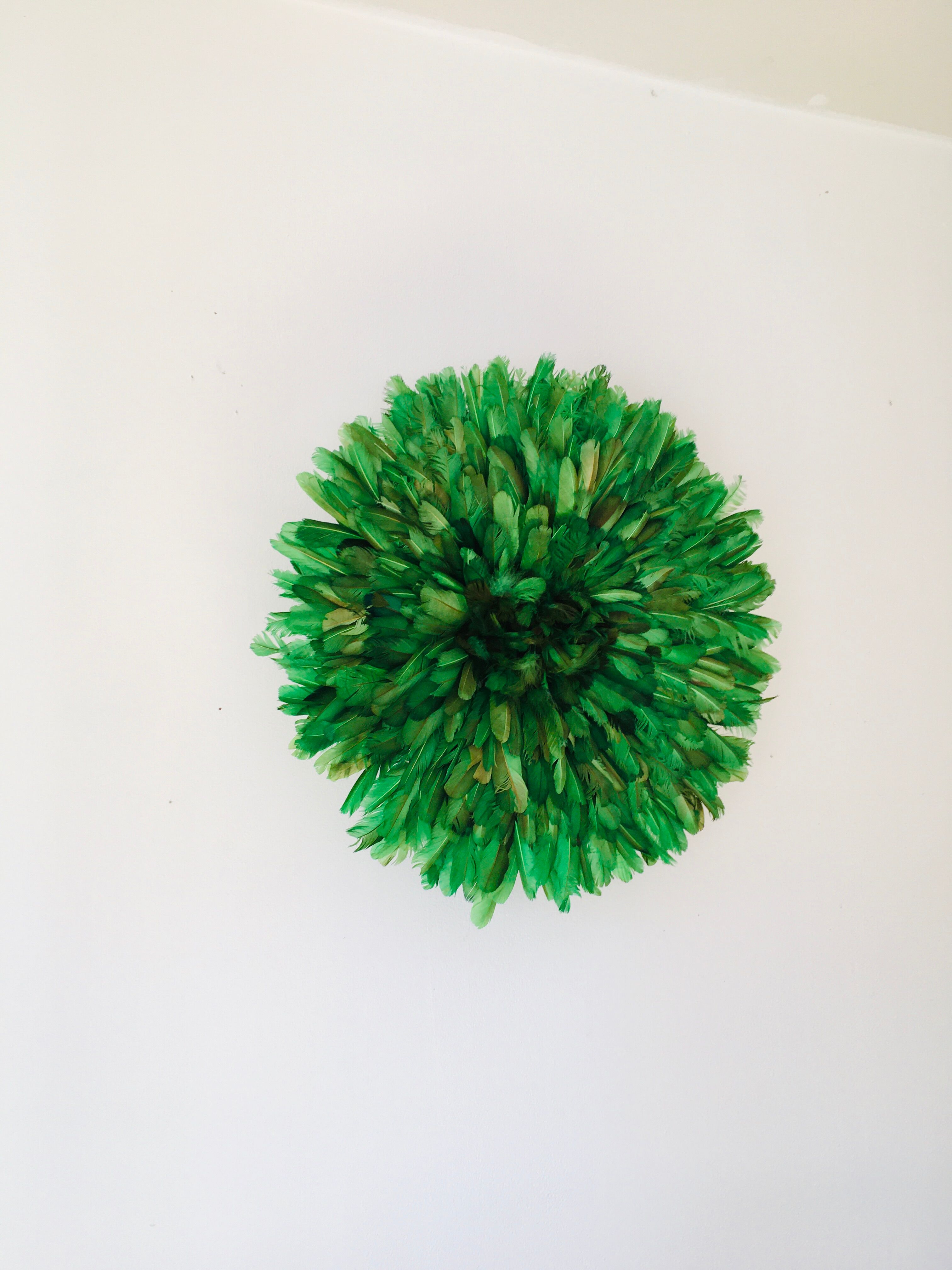 Juju hat vert 50 cm