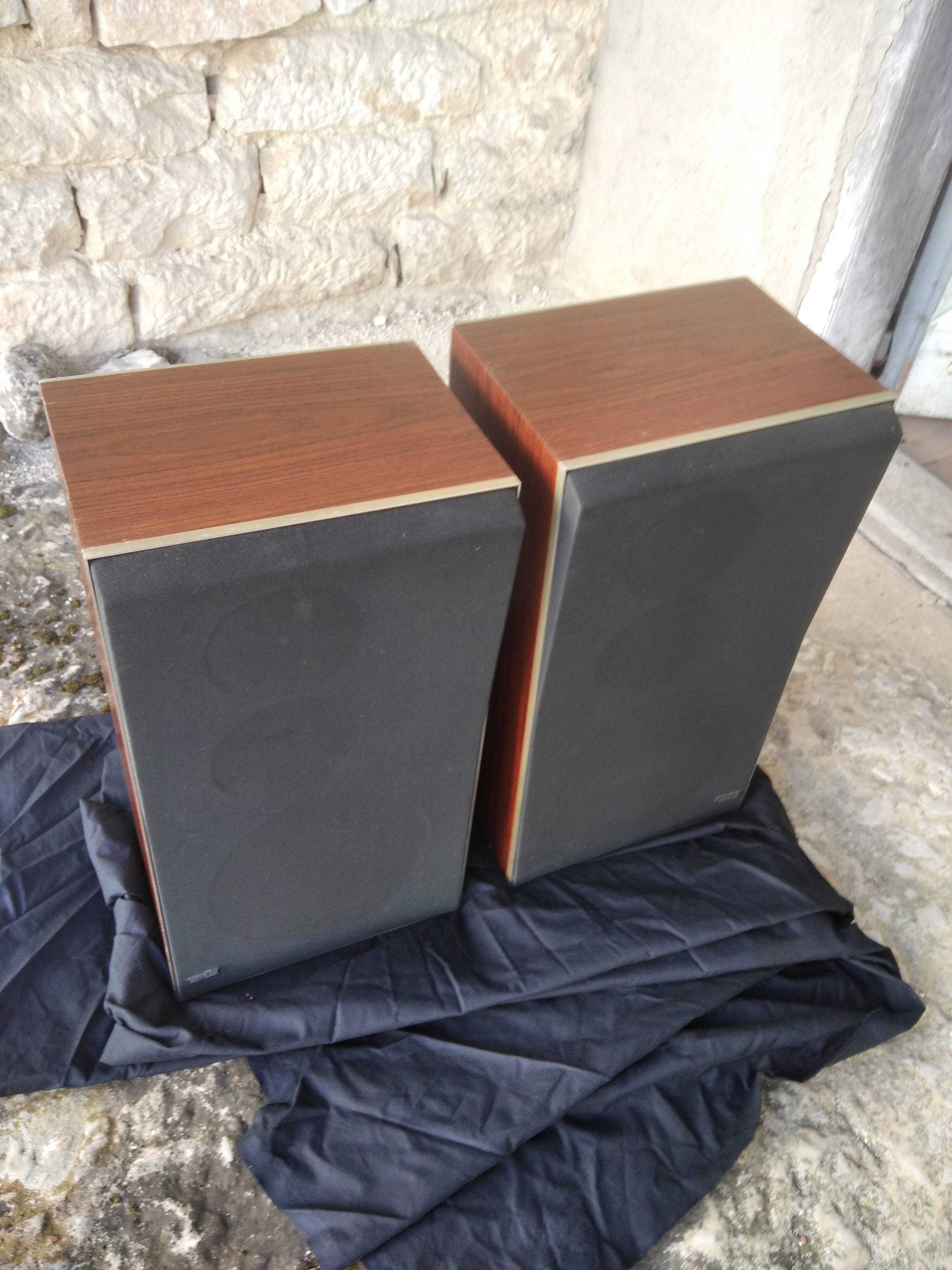 Vintage Bang and Olufsen S45-2 speakers