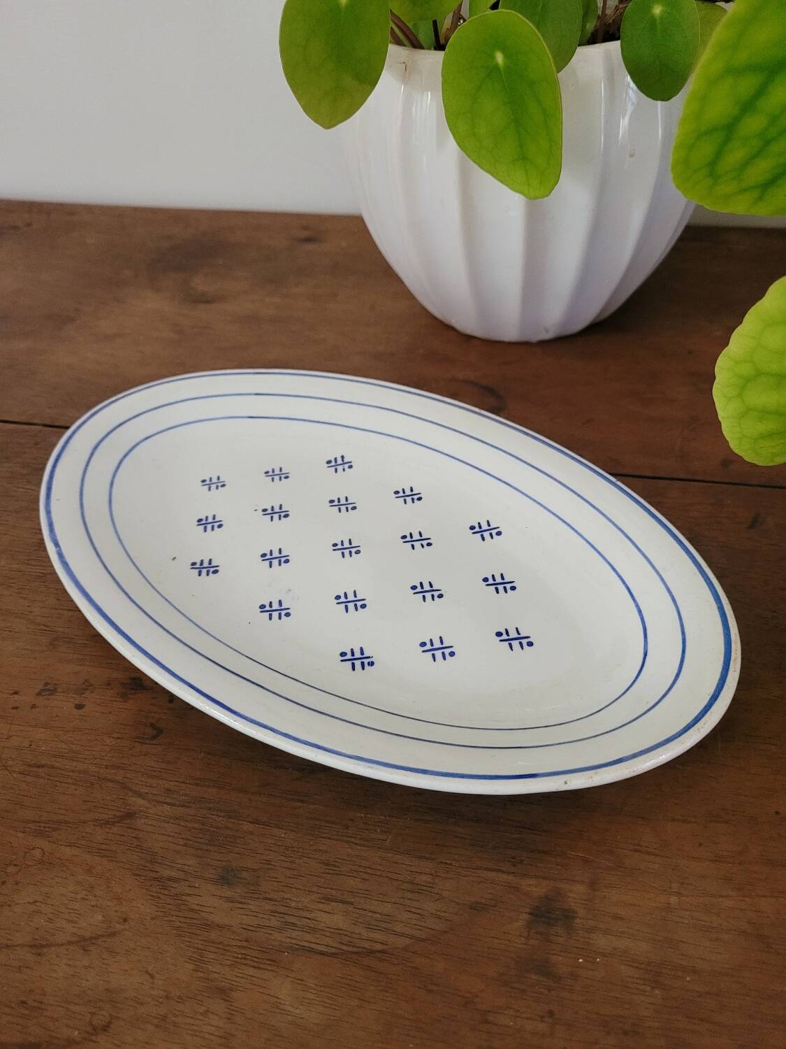 Opaque porcelain dish