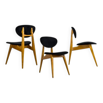 Chaises Mid-Century, Gfm 22 par J. Kędziorek, Pologne, années 1960, ensemble de 3