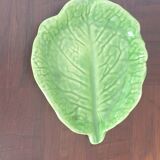 Cabbage leaf cup