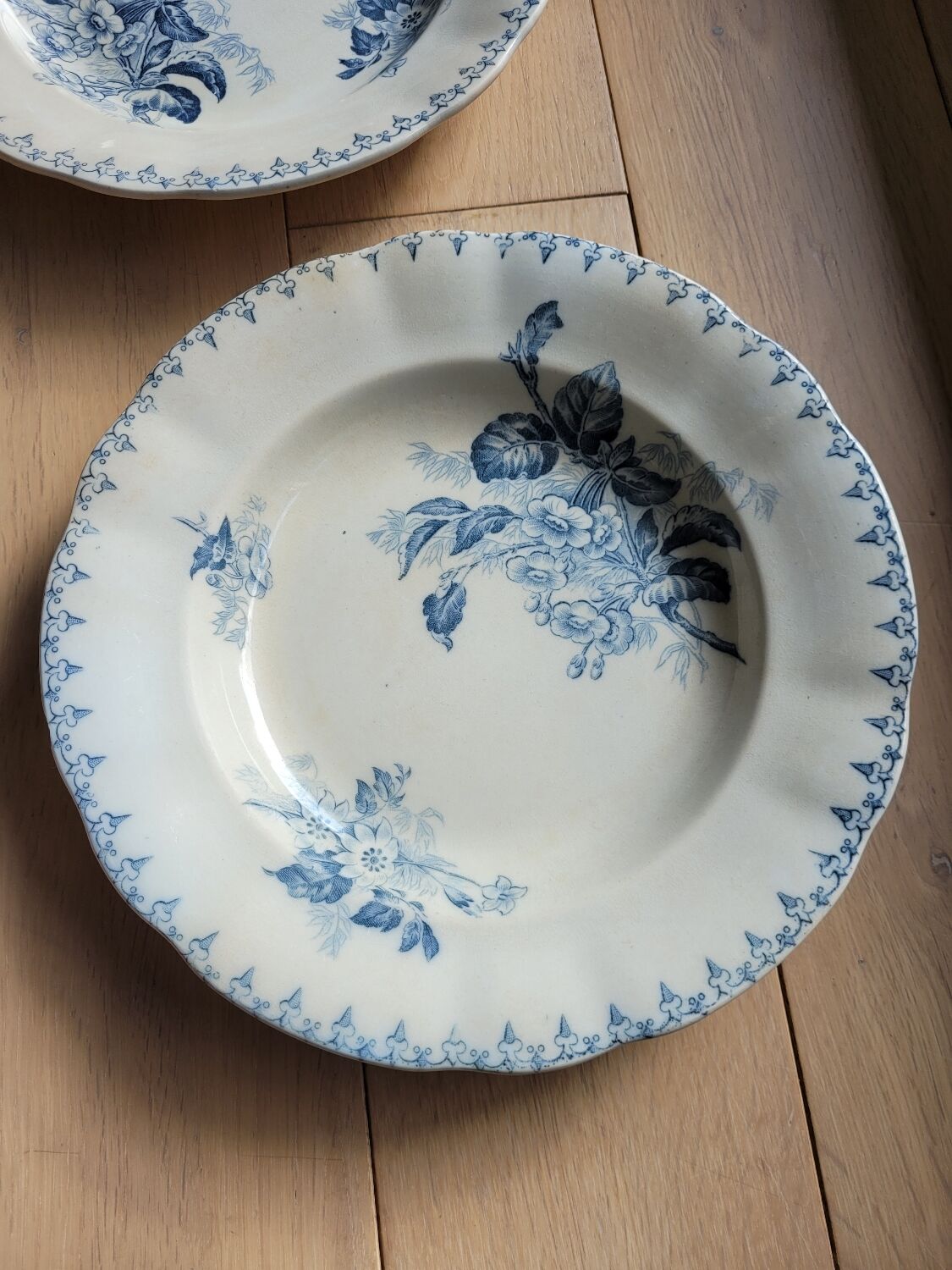 Set of 2 hollow plates Flore U&C Sarreguemines