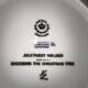 Royal Copenhagen porcelain Christmas plate 1979