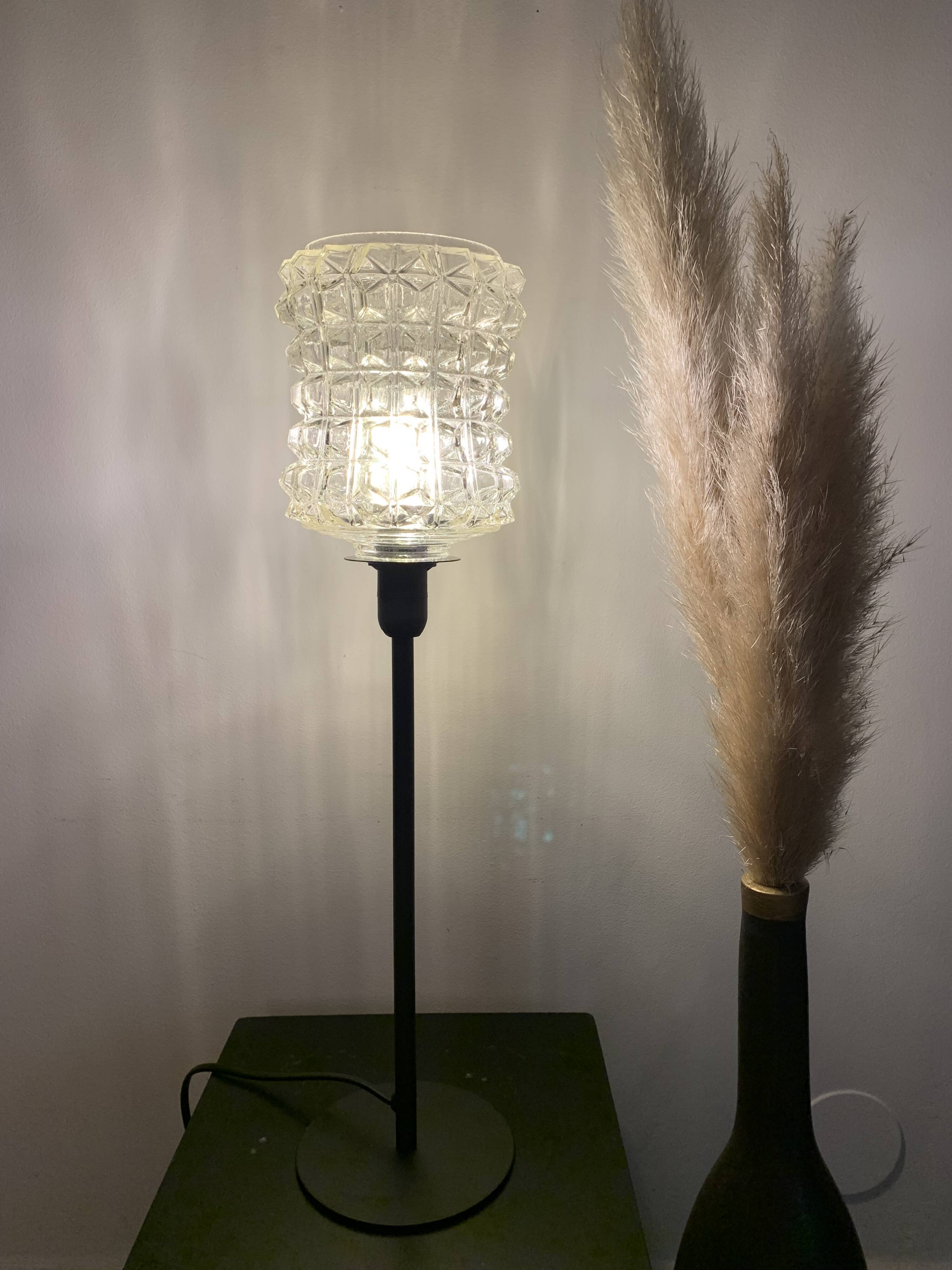 Pair of lamps with a molded glass shade
