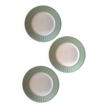 Villeroy & Boch set of 3 dinner plates – almond green & white