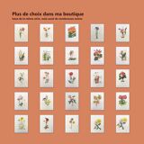 Vintage botanical plate from 1962 - Honeycomb Chrysanthemum - Plant engraving - Watercolor M.Rollinat