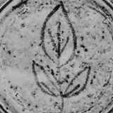 Gustave Reynaud plate